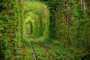 Завораживающие природные тоннели мира (фото)